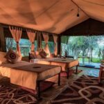 Mara Eden Safari Camp Double Tent